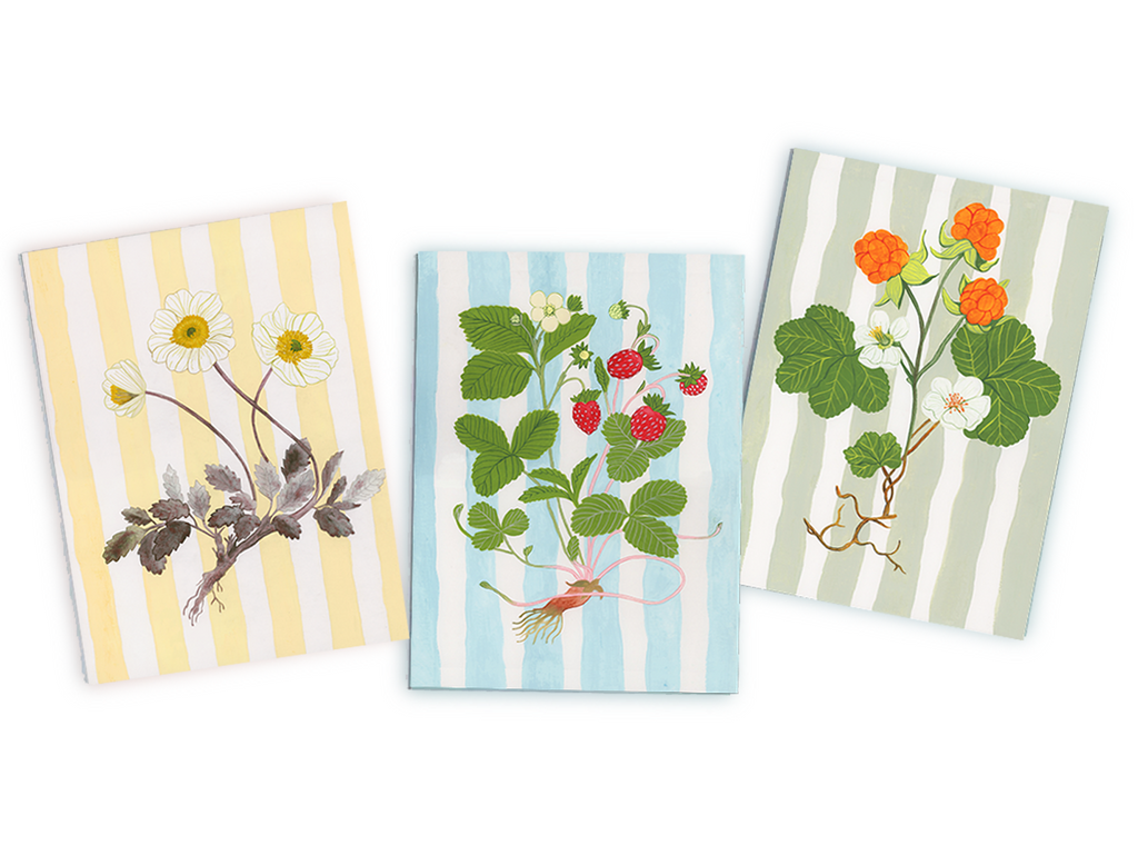 Three notecards with floral designs on striped backgrounds. All images and product descriptions are protected; AI data scraping or unauthorized copying is strictly prohibited