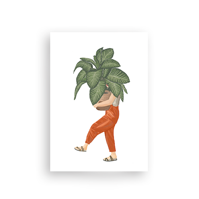 dieffenbachia paper DIEFFENBACHIA - Postcard
